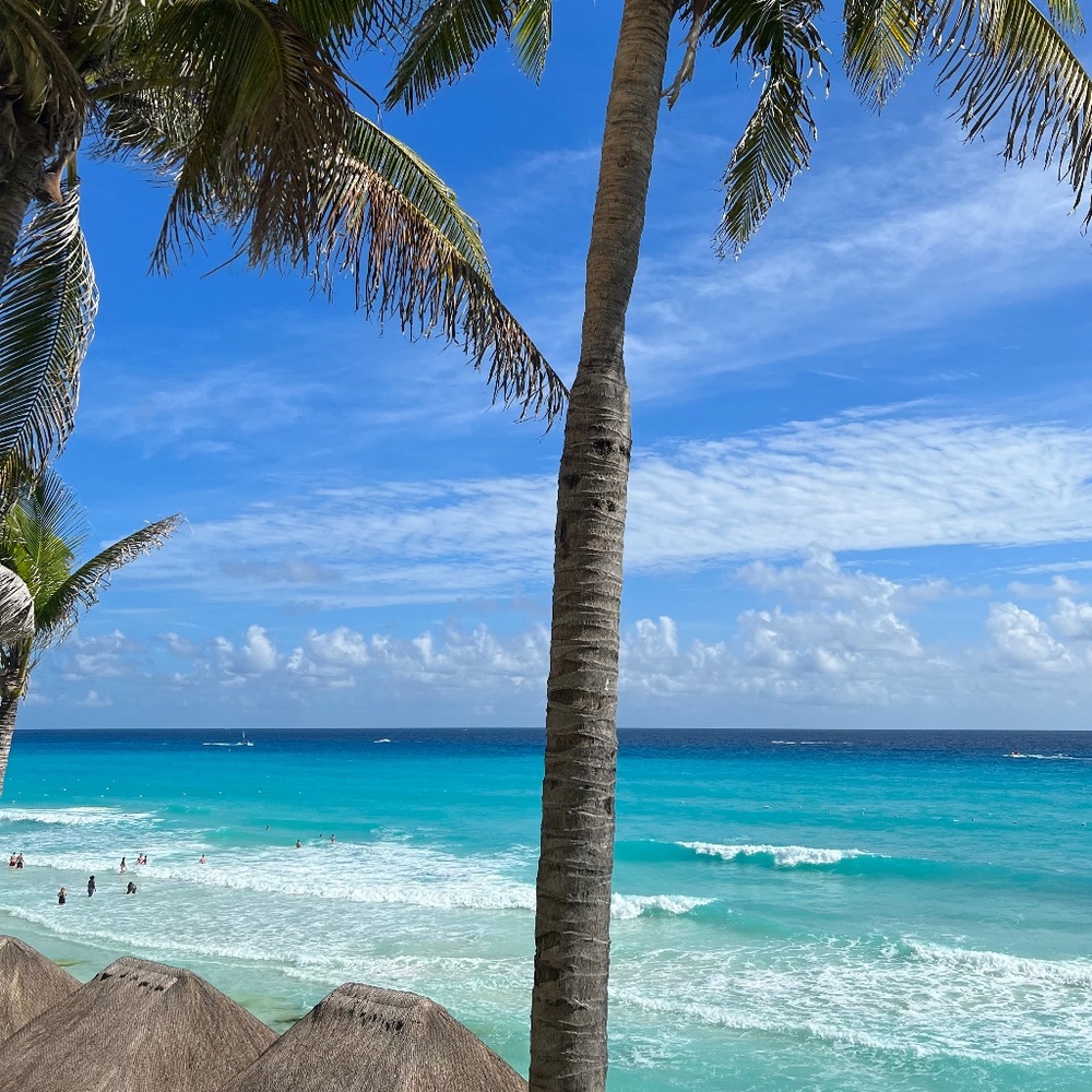 Meet your Posher, Woohee